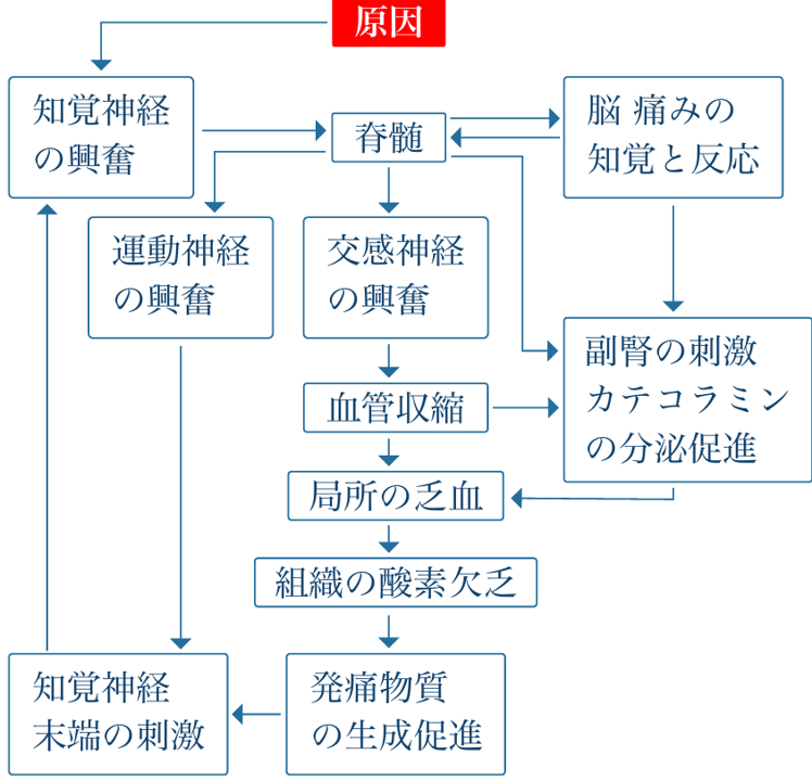 痛みが作り出す悪循環の図説