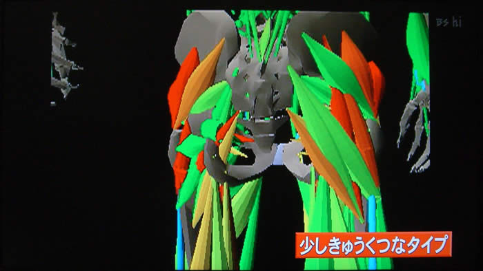 (番組キャプチャ)マジックミラーシステムで解析された腰回りの画像