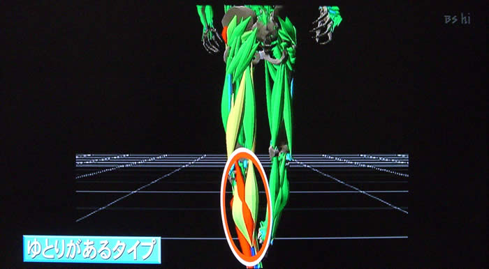(番組キャプチャ)マジックミラーシステムで解析されたふくらはぎの画像