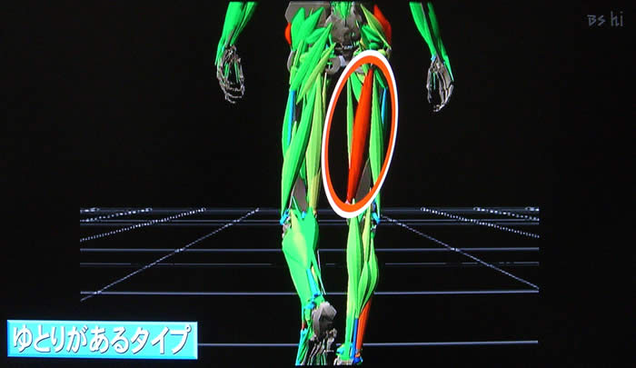 (番組キャプチャ)マジックミラーシステムで解析された太ももの画像